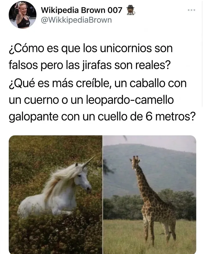 34 Comentarios extrañamente específicos que es imposible que se los hayan inventado