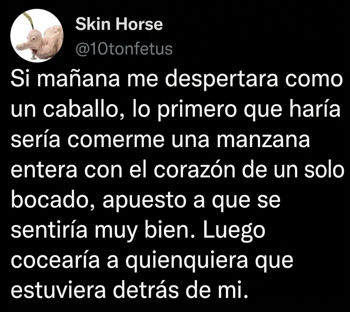 34 Comentarios extrañamente específicos que es imposible que se los hayan inventado