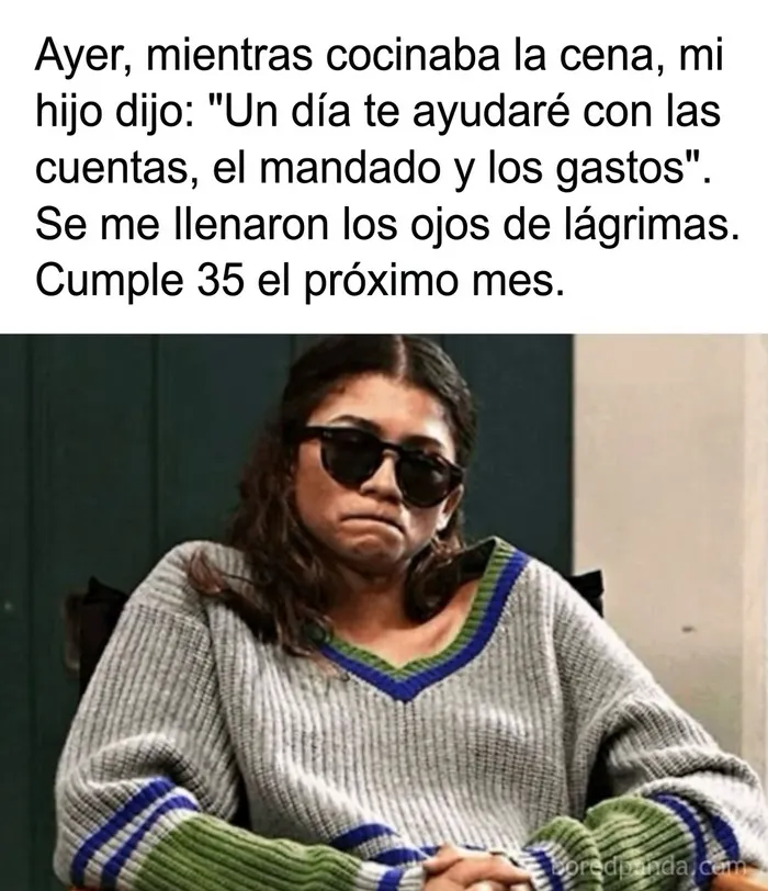 28 Divertidos memes que quizá te resulten familiares