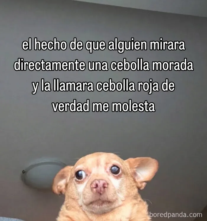 28 Divertidos memes que quizá te resulten familiares