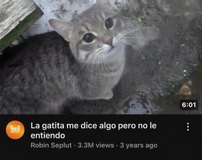 35 Memes divertidos sobre la agotadora realidad de la vida diaria
