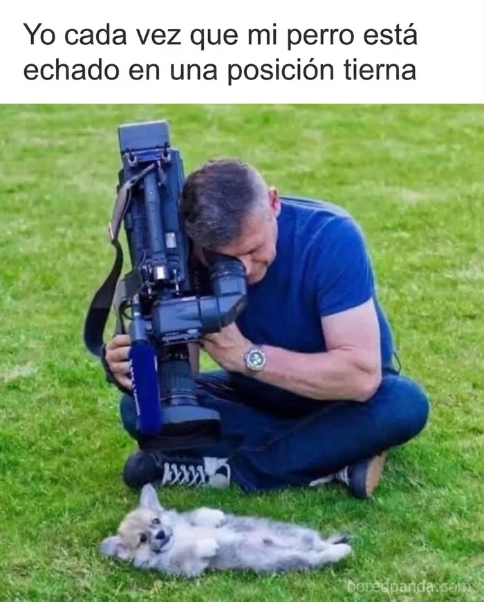 28 Divertidos memes que quizá te resulten familiares