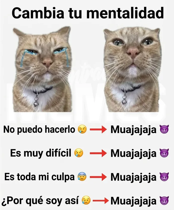 35 Memes divertidos sobre la agotadora realidad de la vida diaria