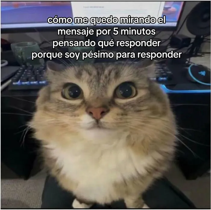 35 Memes divertidos sobre la agotadora realidad de la vida diaria