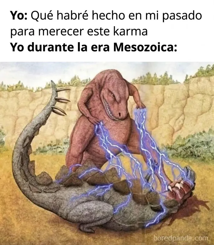 35 Memes divertidos sobre la agotadora realidad de la vida diaria