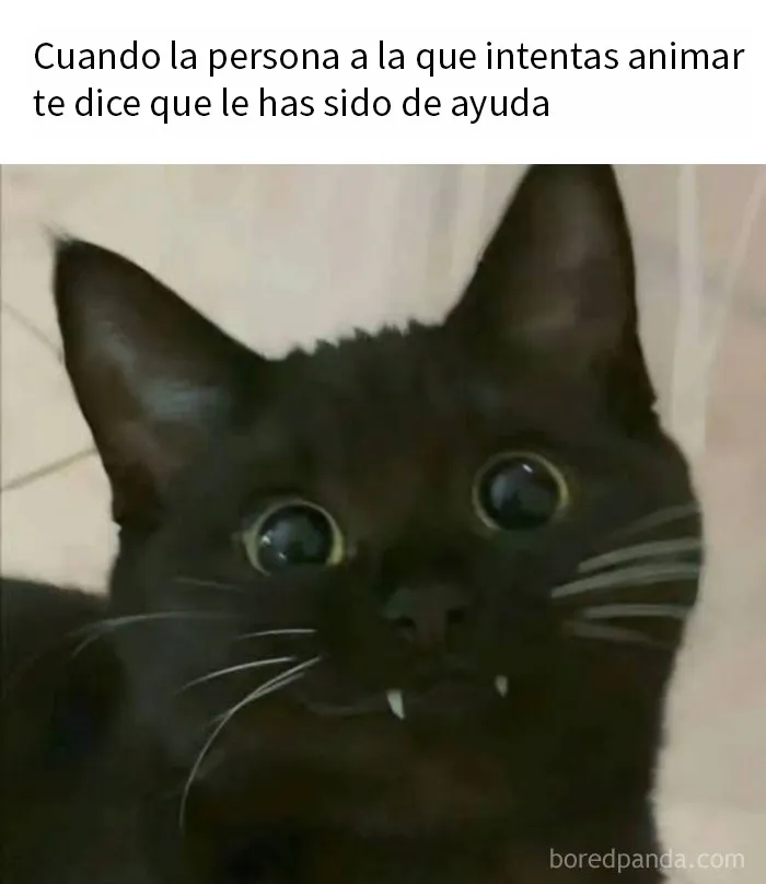 20 Divertidos memes para discutir en terapia si te resultan familiares