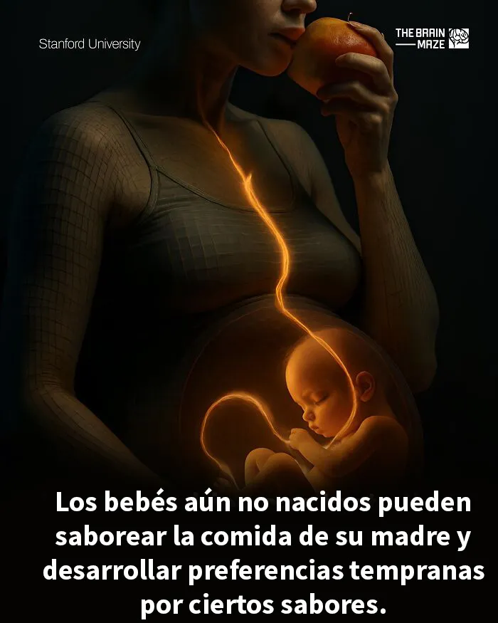 20 Datos interesantes, curiosos y perturbadores sobre la mente y el cuerpo