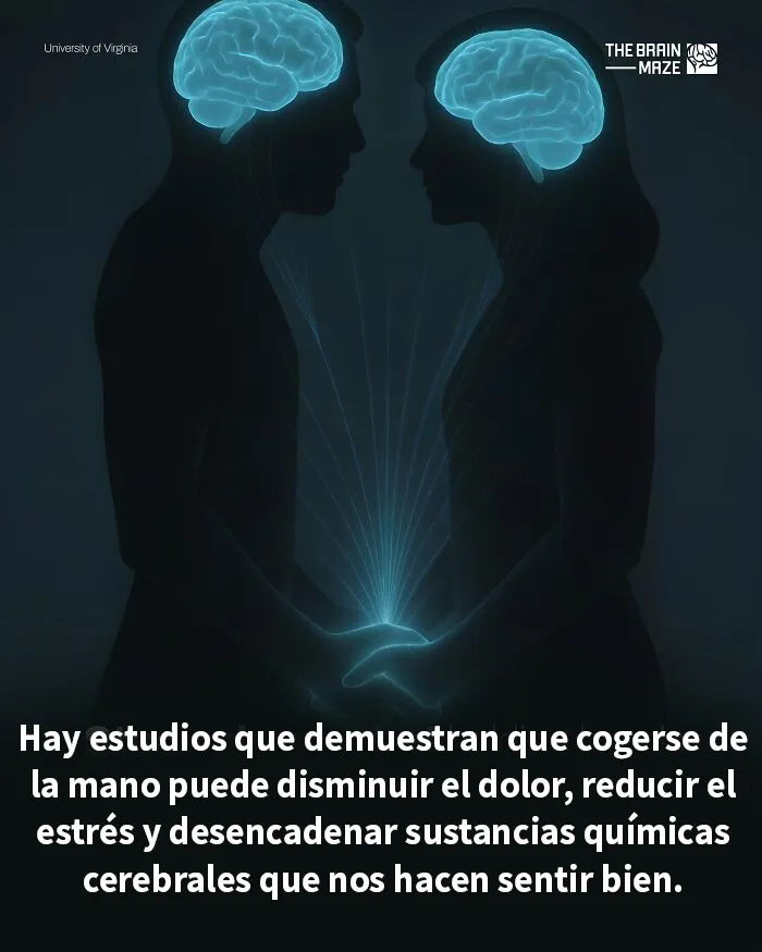 20 Datos interesantes, curiosos y perturbadores sobre la mente y el cuerpo