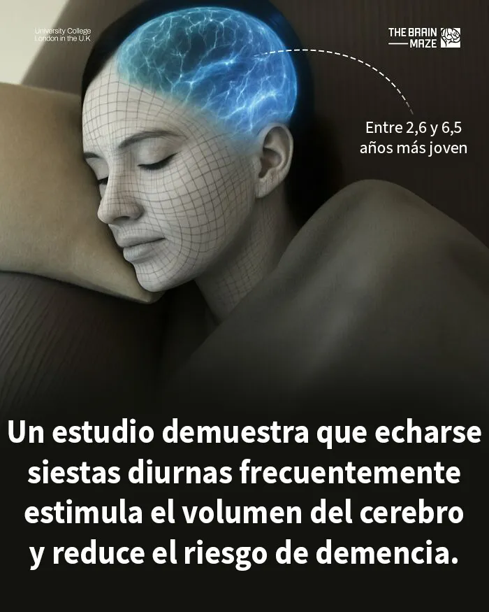 20 Datos interesantes, curiosos y perturbadores sobre la mente y el cuerpo