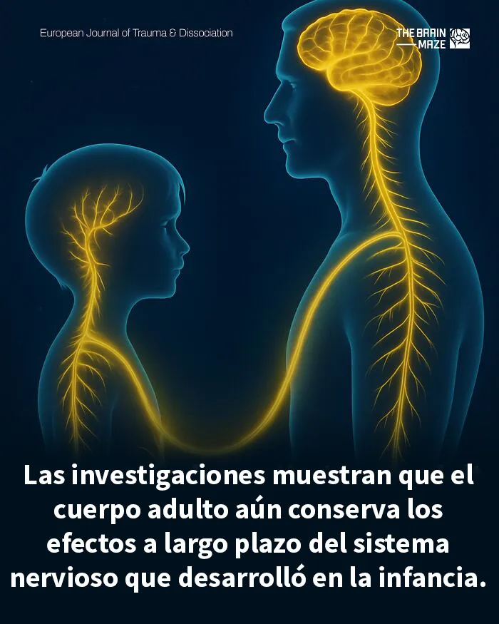 20 Datos interesantes, curiosos y perturbadores sobre la mente y el cuerpo