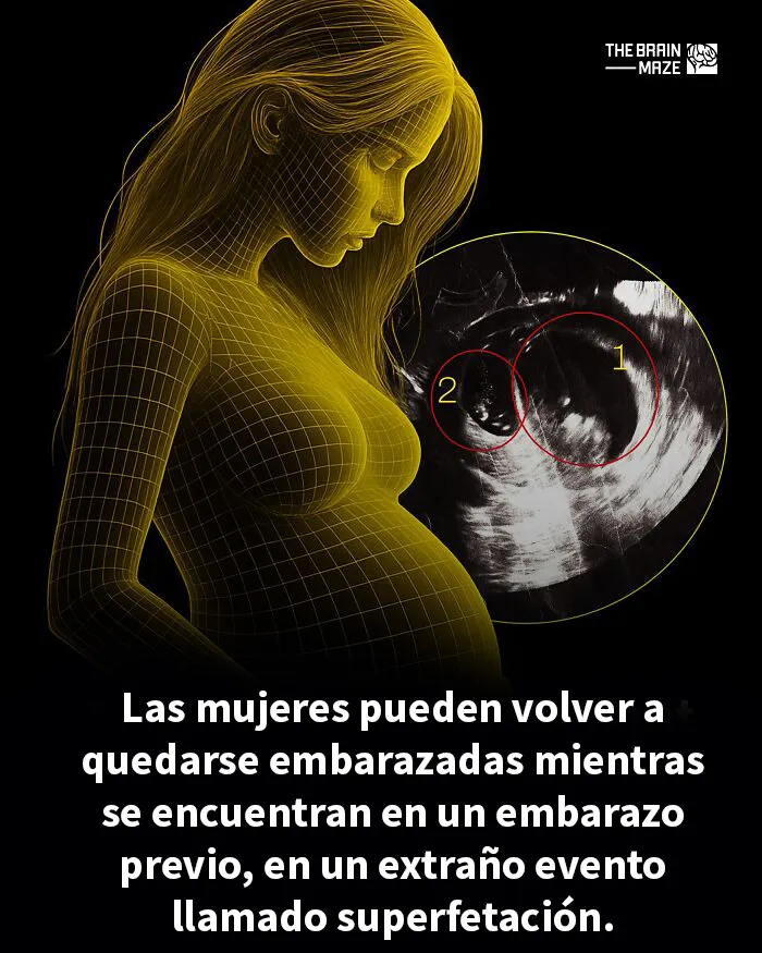 20 Datos interesantes, curiosos y perturbadores sobre la mente y el cuerpo