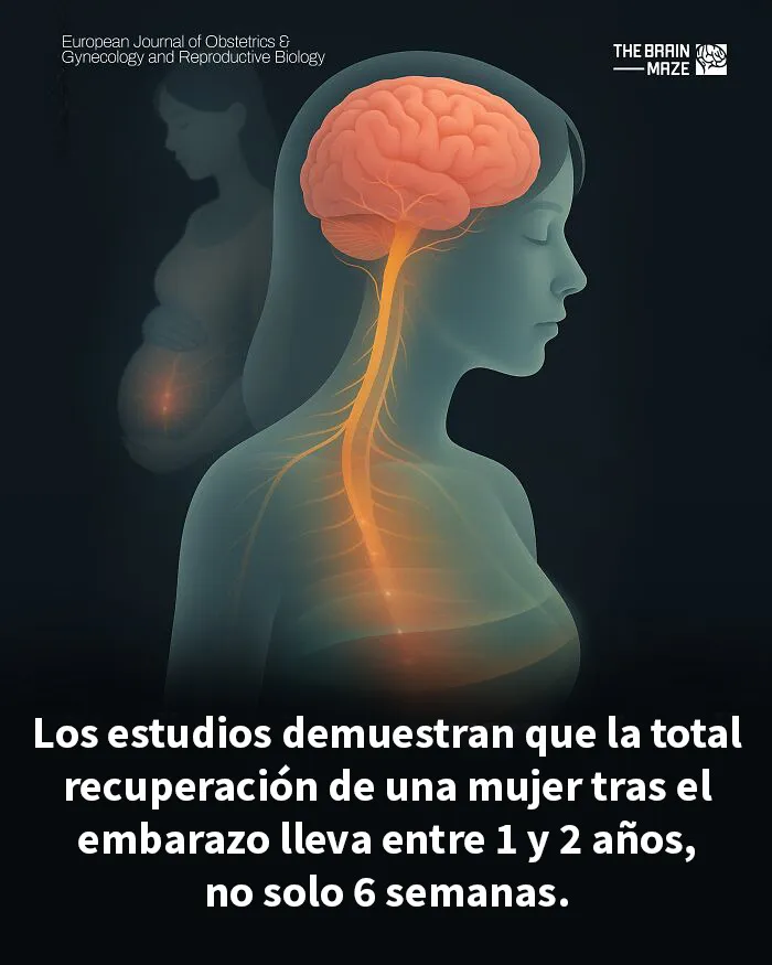 20 Datos interesantes, curiosos y perturbadores sobre la mente y el cuerpo