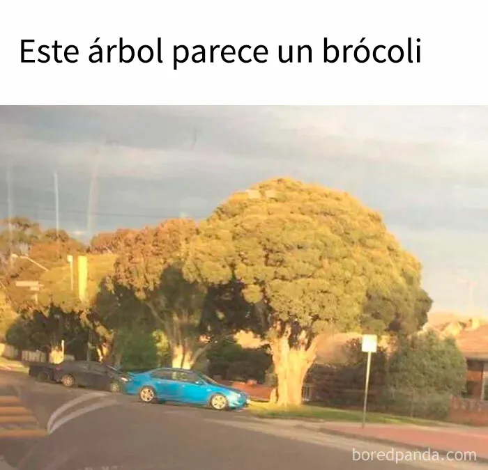 18 memes de comida irresistiblemente divertidos