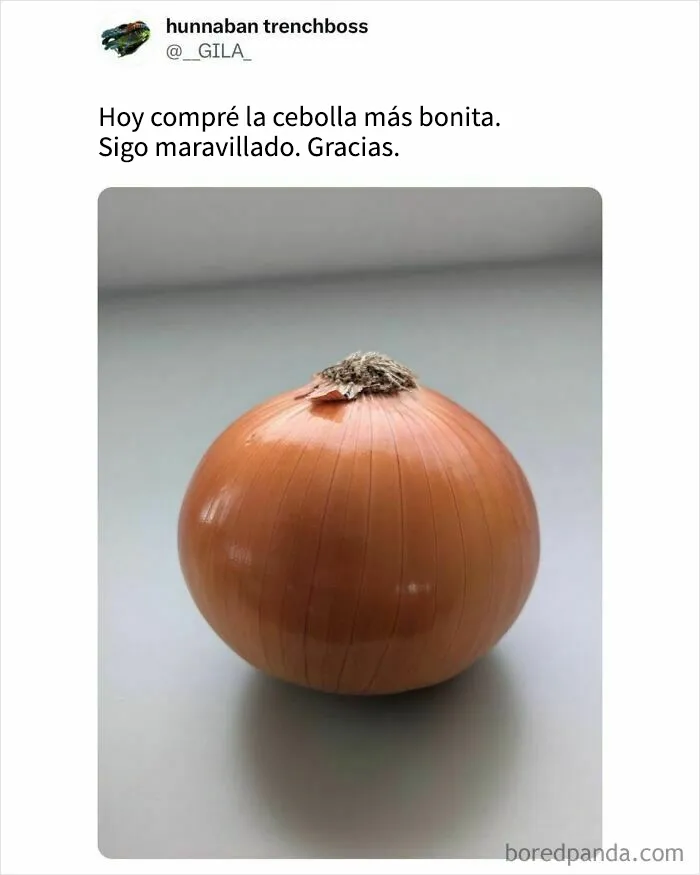 18 memes de comida irresistiblemente divertidos
