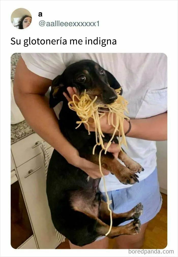 18 memes de comida irresistiblemente divertidos