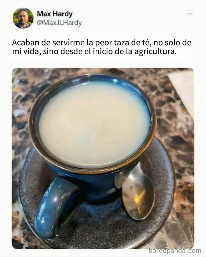 18 memes de comida irresistiblemente divertidos