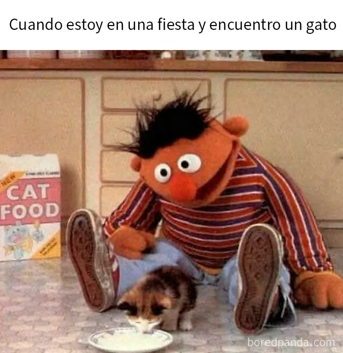 20 Memes de animales tan divertidos como alegres para animarte un poco