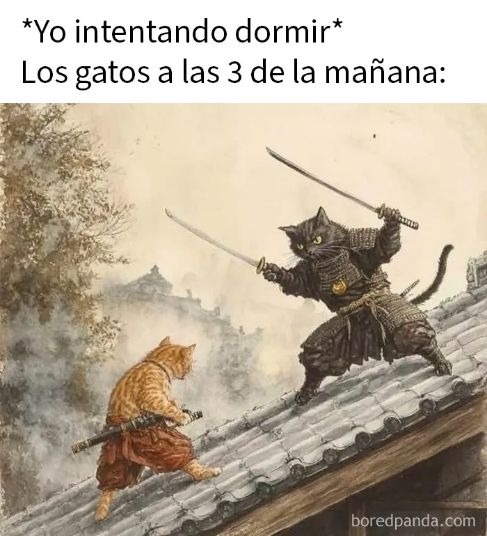 20 Memes de animales tan divertidos como alegres para animarte un poco