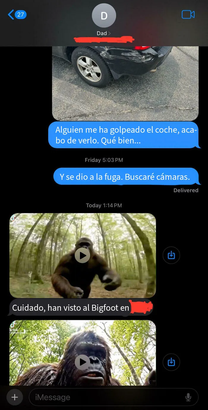 Le escribí a mi papá diciendo que fui víctima de un pequeño atropello y fuga. ¿Su respuesta tres días después? Avistamientos de Pie Grande generados por IA.