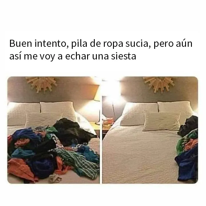 20 Memes aleatorios para hacerte el día más fácil