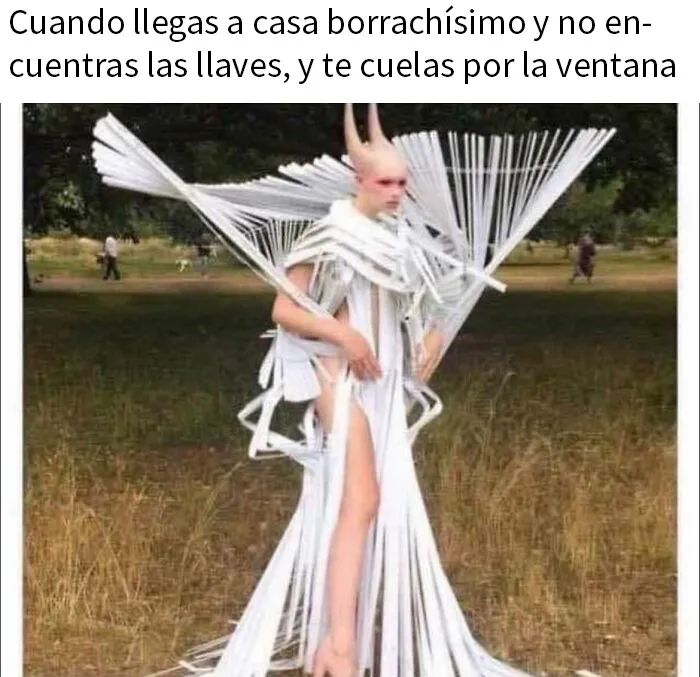 20 Memes aleatorios para hacerte el día más fácil