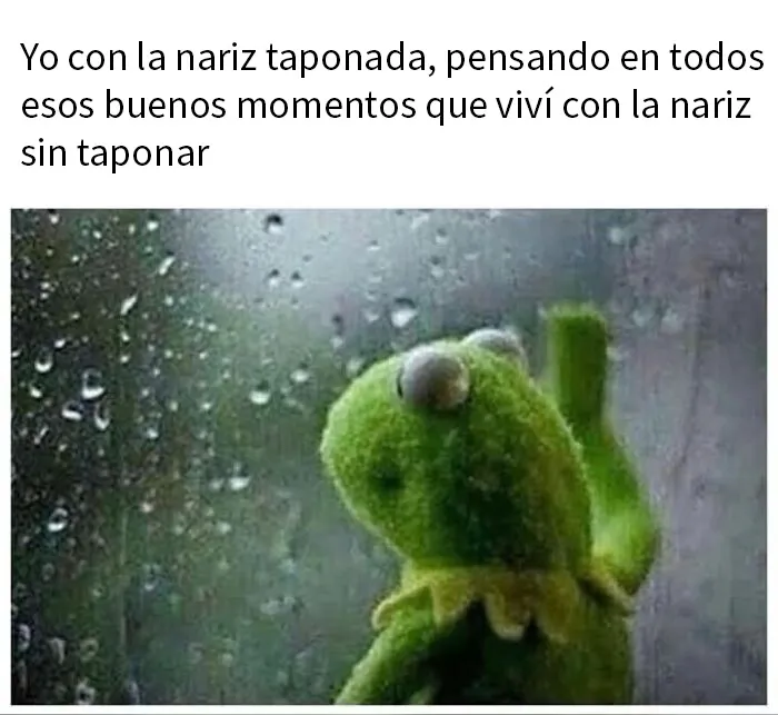 20 Memes aleatorios para hacerte el día más fácil