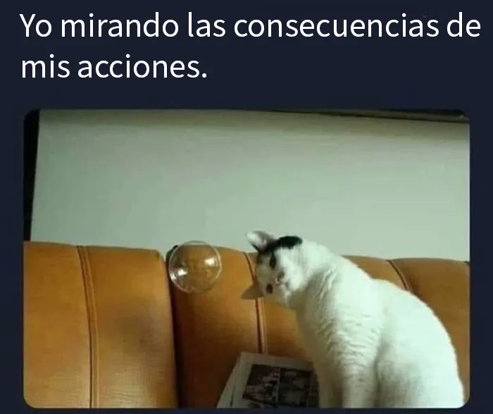 20 Memes aleatorios para hacerte el día más fácil