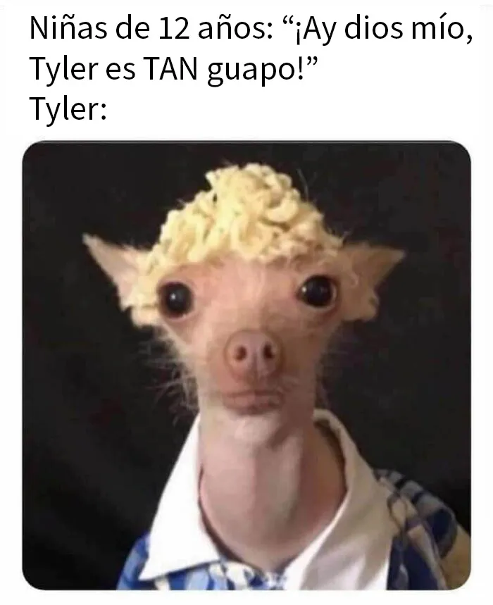20 Memes aleatorios para hacerte el día más fácil