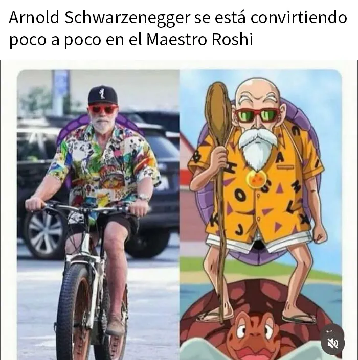 20 Memes aleatorios para hacerte el día más fácil