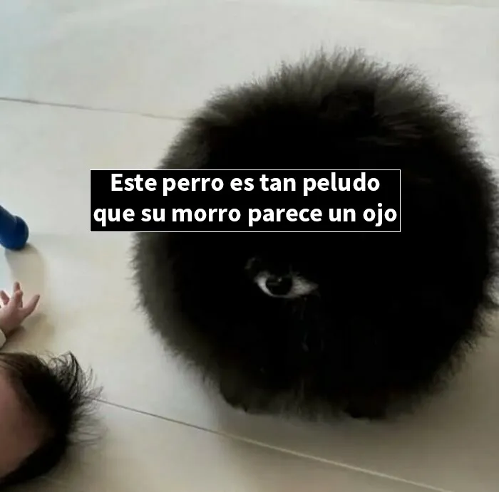 Lo ve todo