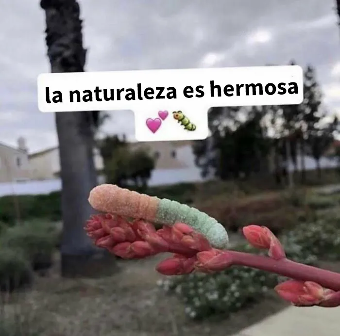 Amo la naturaleza