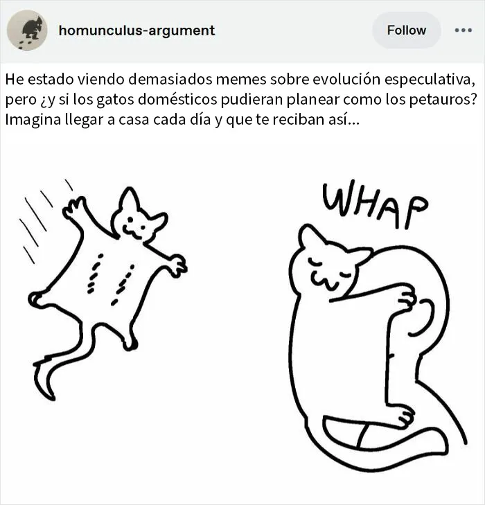 Gatetes planeadores