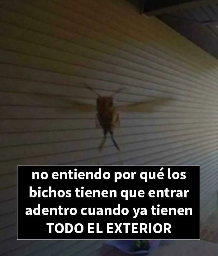Porque tenemos lámparas