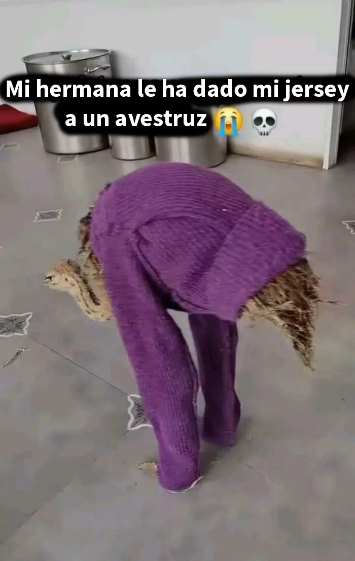 Y es de su talla