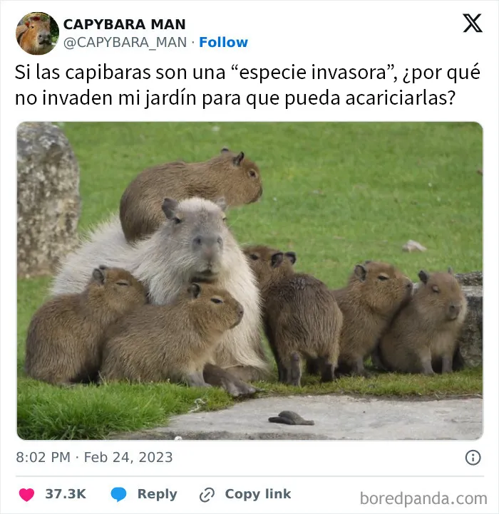 20 Memes divertidos para quien necesite animarse hoy
