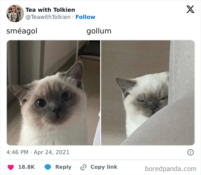 20 Memes divertidos para quien necesite animarse hoy