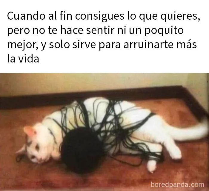 20 Memes divertidos para quien necesite animarse hoy