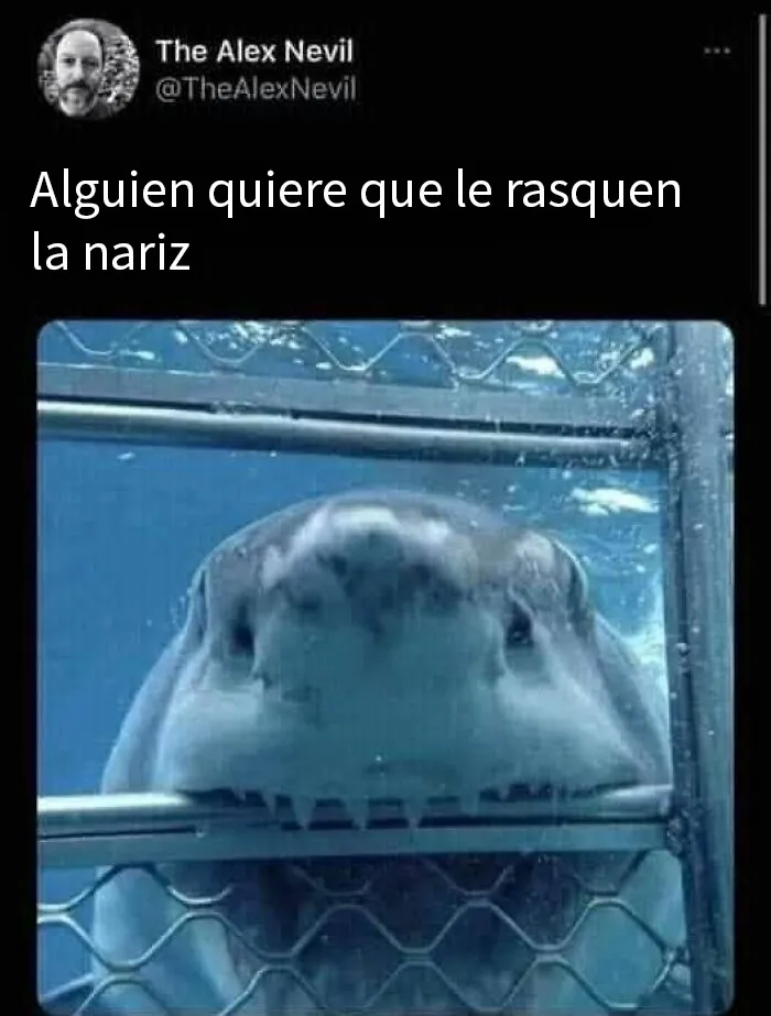 20 Memes divertidos para quien necesite animarse hoy
