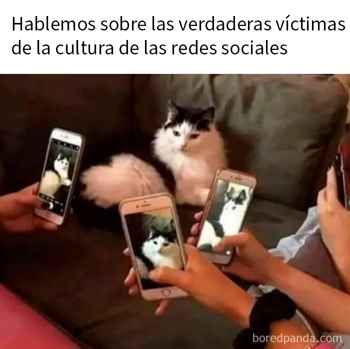 20 Memes divertidos para quien necesite animarse hoy