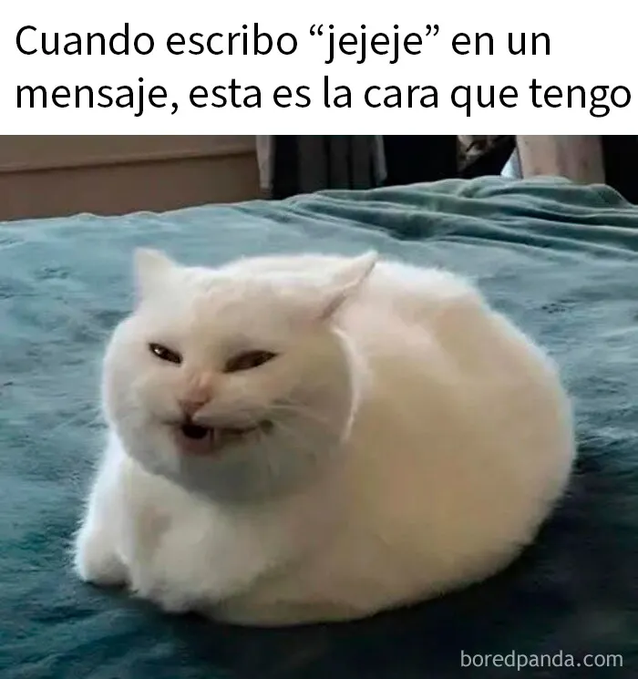 20 Memes divertidos para quien necesite animarse hoy