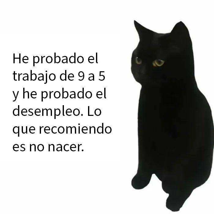20 Divertidos memes para alegrarte el día