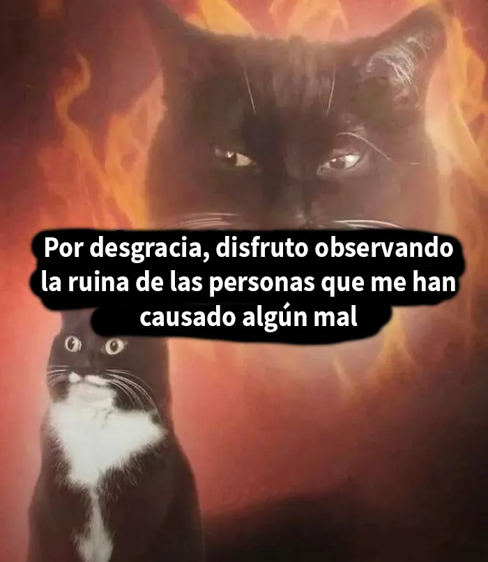 20 Divertidos memes para alegrarte el día