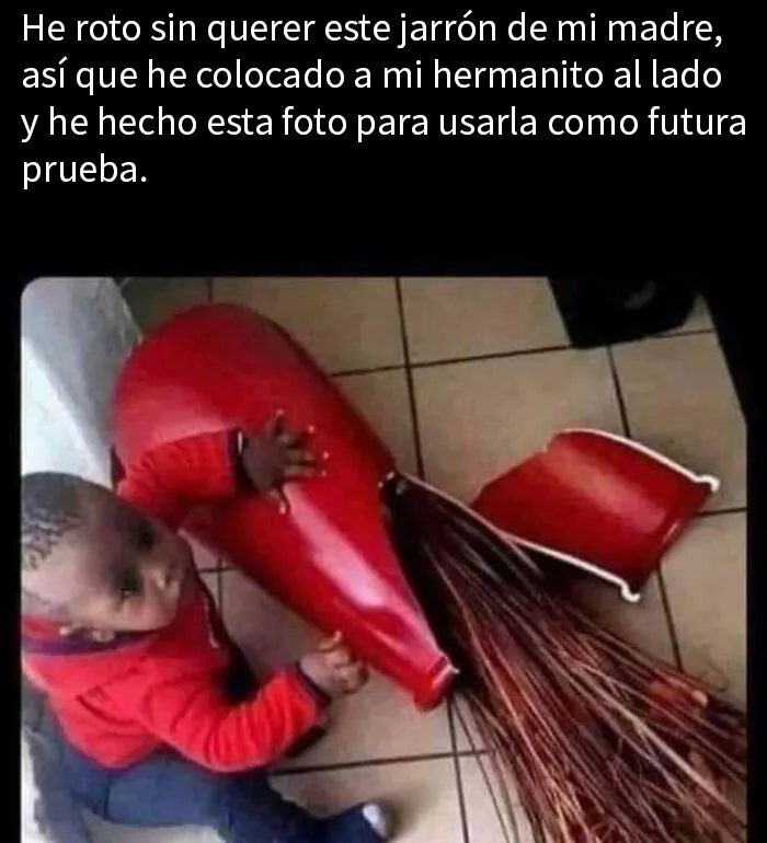 20 Divertidos memes para alegrarte el día