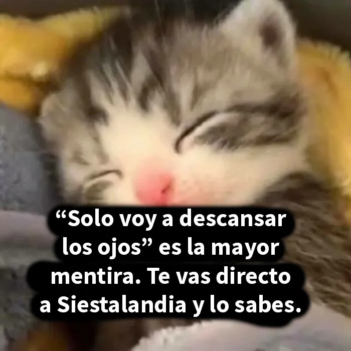 20 Divertidos memes para alegrarte el día