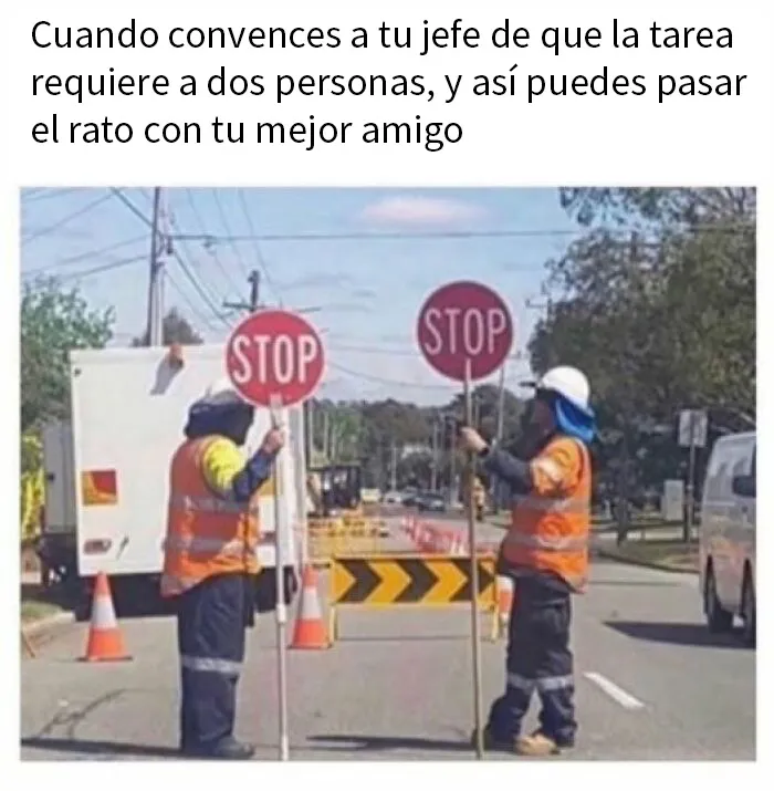 20 Memes divertidos y alegres para aliviarte de las molestias cotidianas