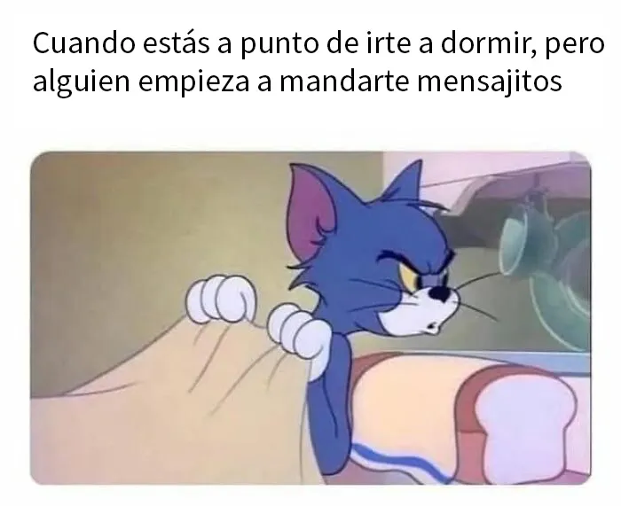 20 Memes divertidos y alegres para aliviarte de las molestias cotidianas