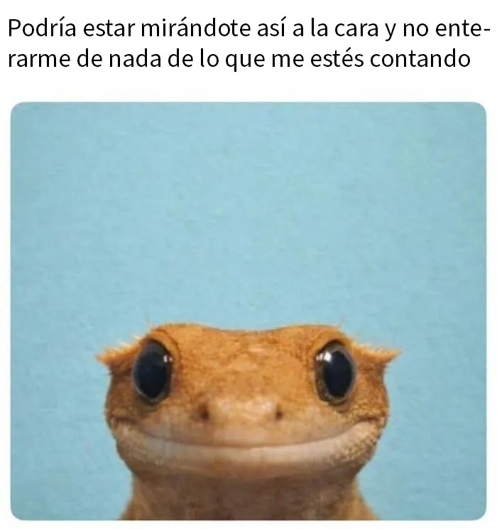 20 Memes divertidos y alegres para aliviarte de las molestias cotidianas