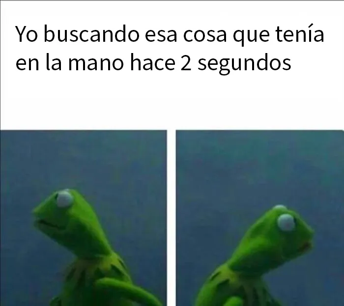 20 Memes divertidos y alegres para aliviarte de las molestias cotidianas