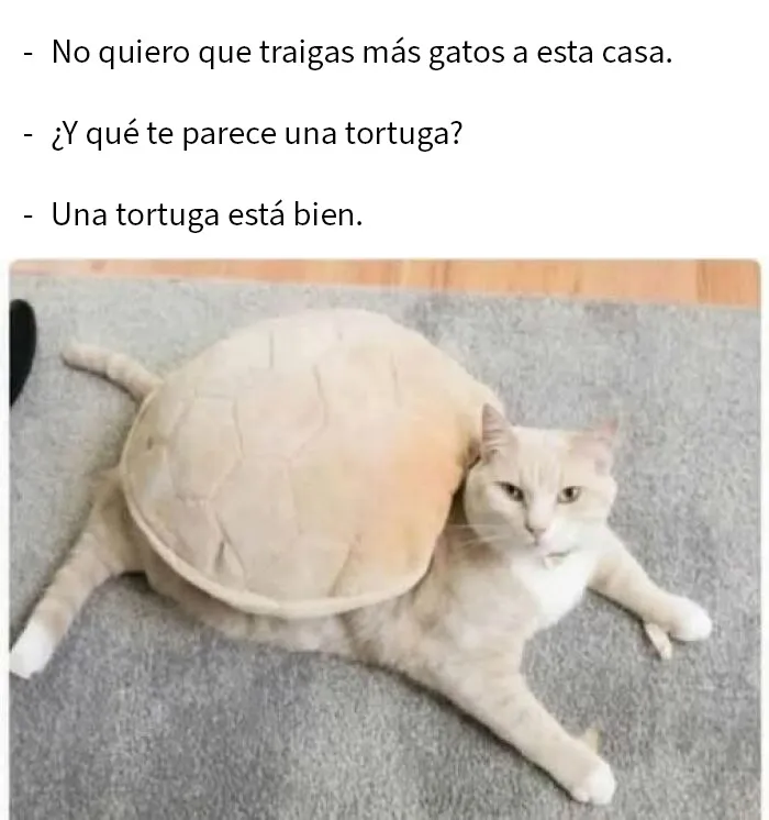 20 Memes divertidos y alegres para aliviarte de las molestias cotidianas
