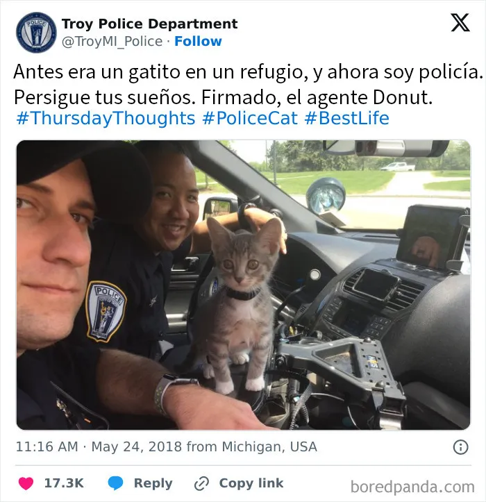 Lo llamaron Donut